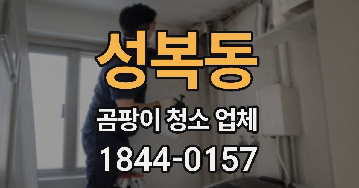 성복동 곰팡이 청소 업체