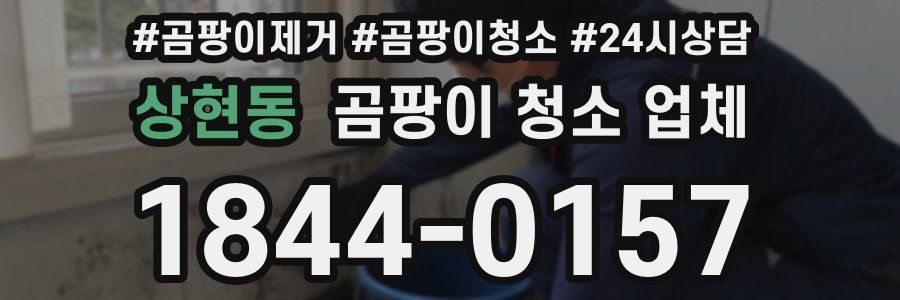 상현동 곰팡이 청소 업체