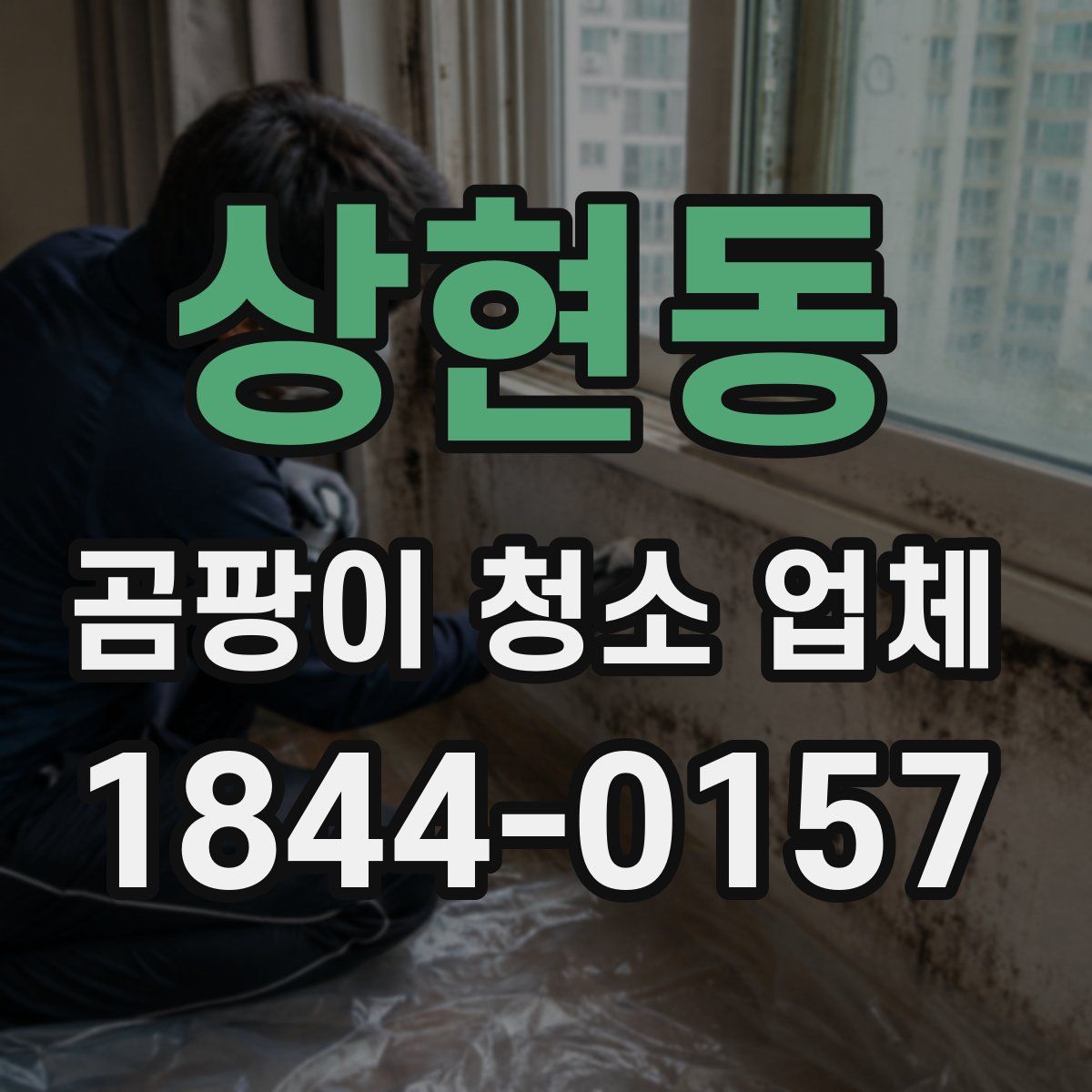 상현동 곰팡이 청소 업체
