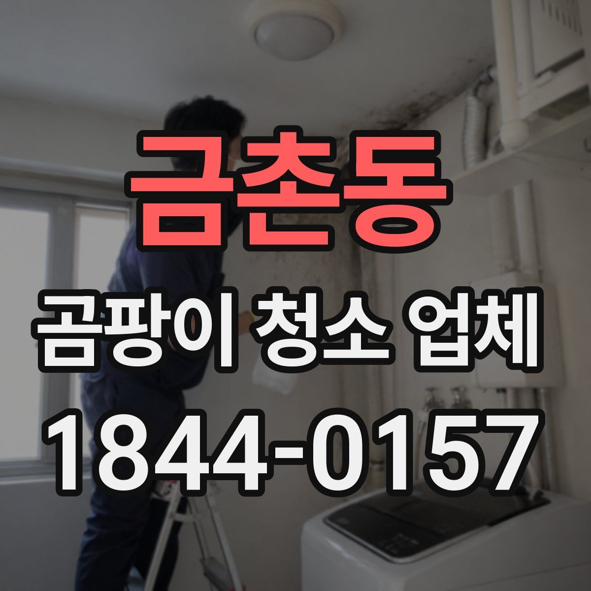 금촌동 곰팡이 청소 업체