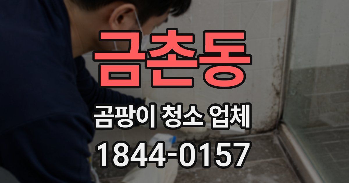 금촌동 곰팡이 청소 업체