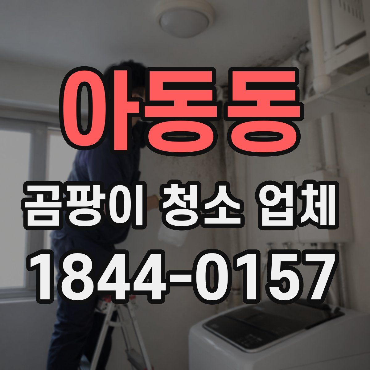 아동동 곰팡이 청소 업체