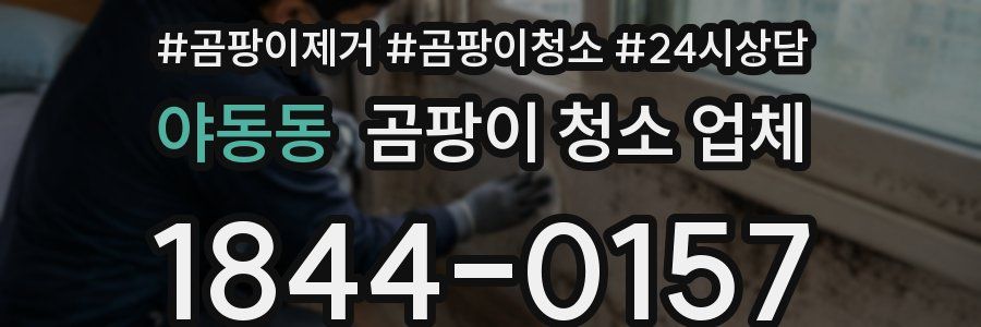 야동동 곰팡이 청소 업체
