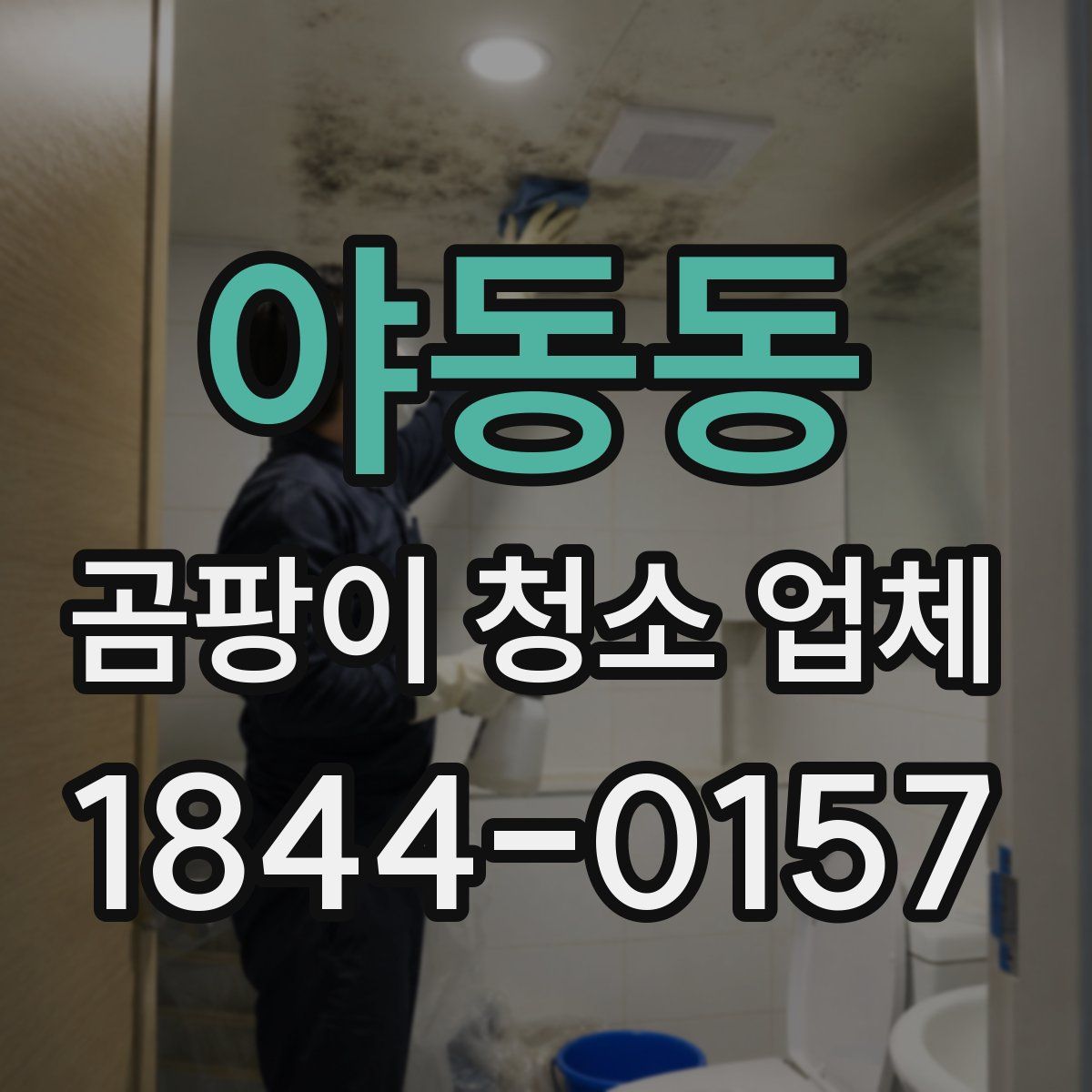 야동동 곰팡이 청소 업체