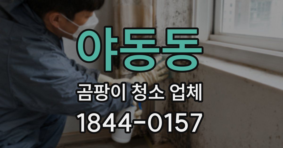 야동동 곰팡이 청소 업체
