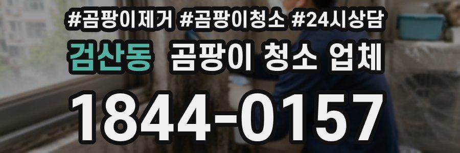 검산동 곰팡이 청소 업체