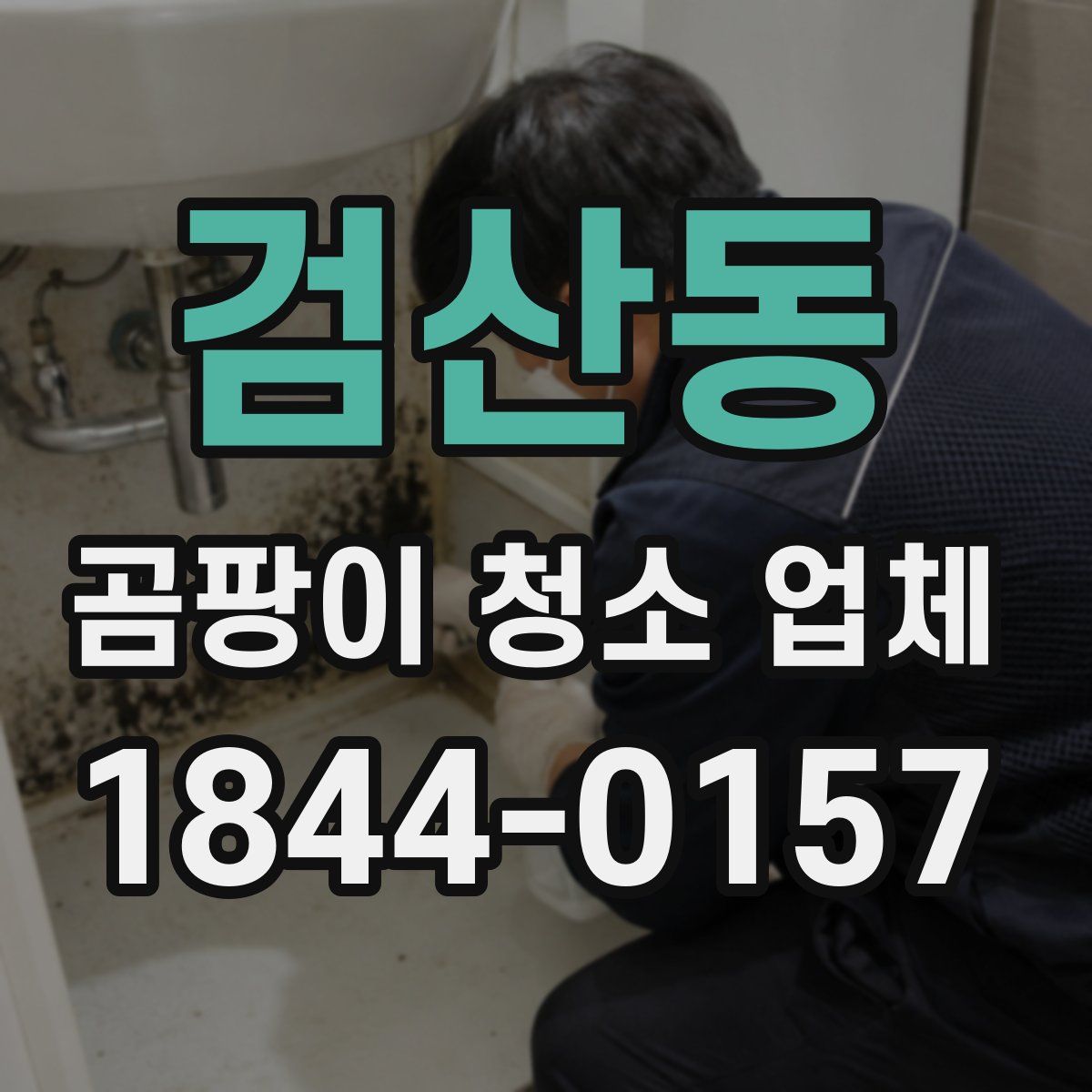 검산동 곰팡이 청소 업체