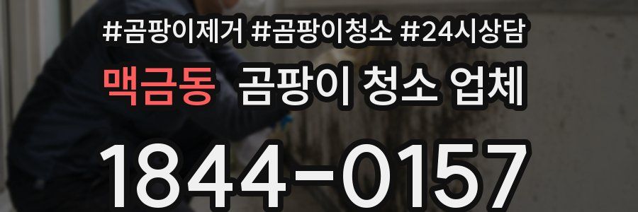 맥금동 곰팡이 청소 업체
