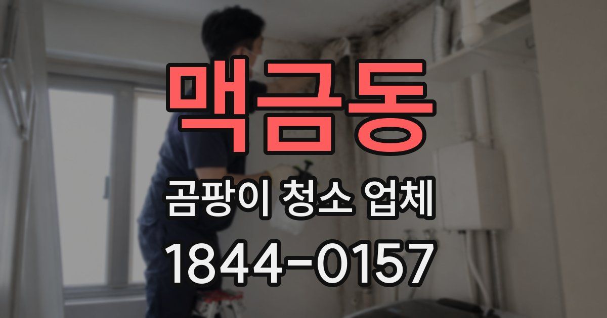 맥금동 곰팡이 청소 업체