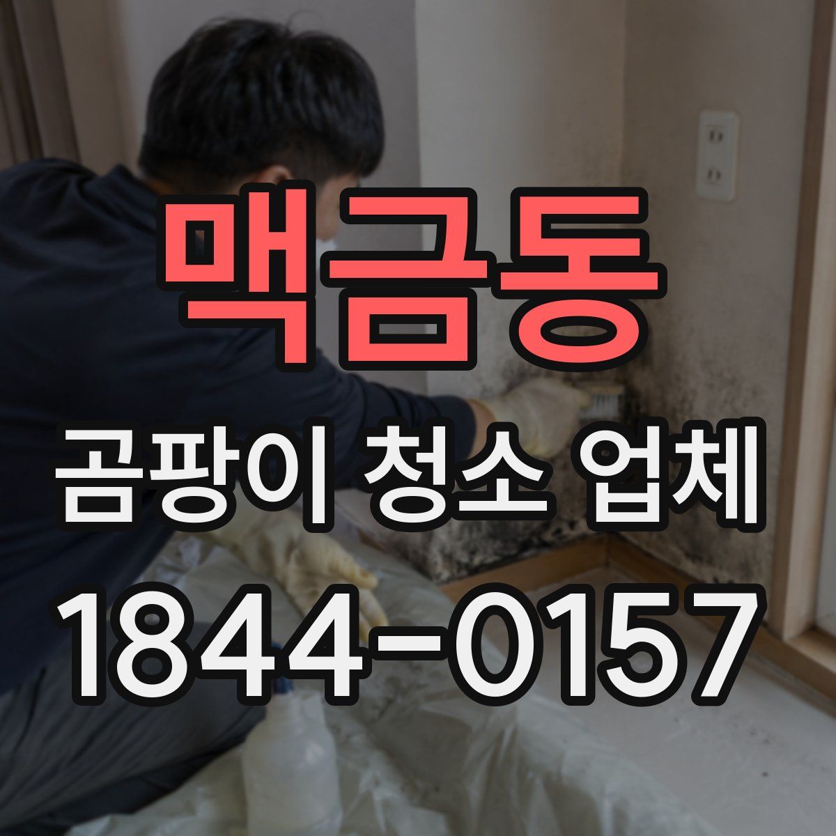 맥금동 곰팡이 청소 업체