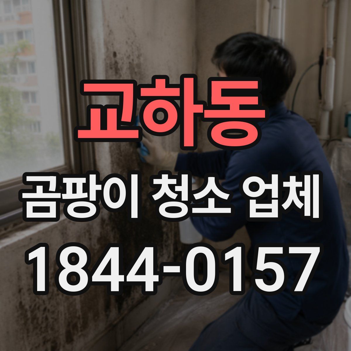 교하동 곰팡이 청소 업체