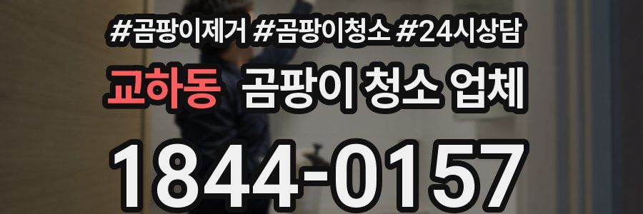 교하동 곰팡이 청소 업체