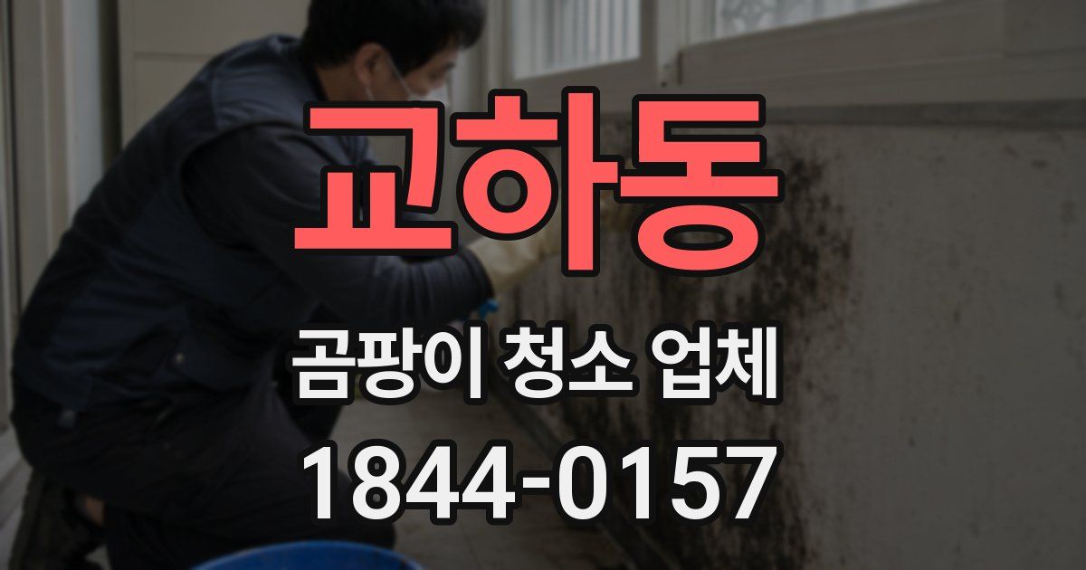 교하동 곰팡이 청소 업체