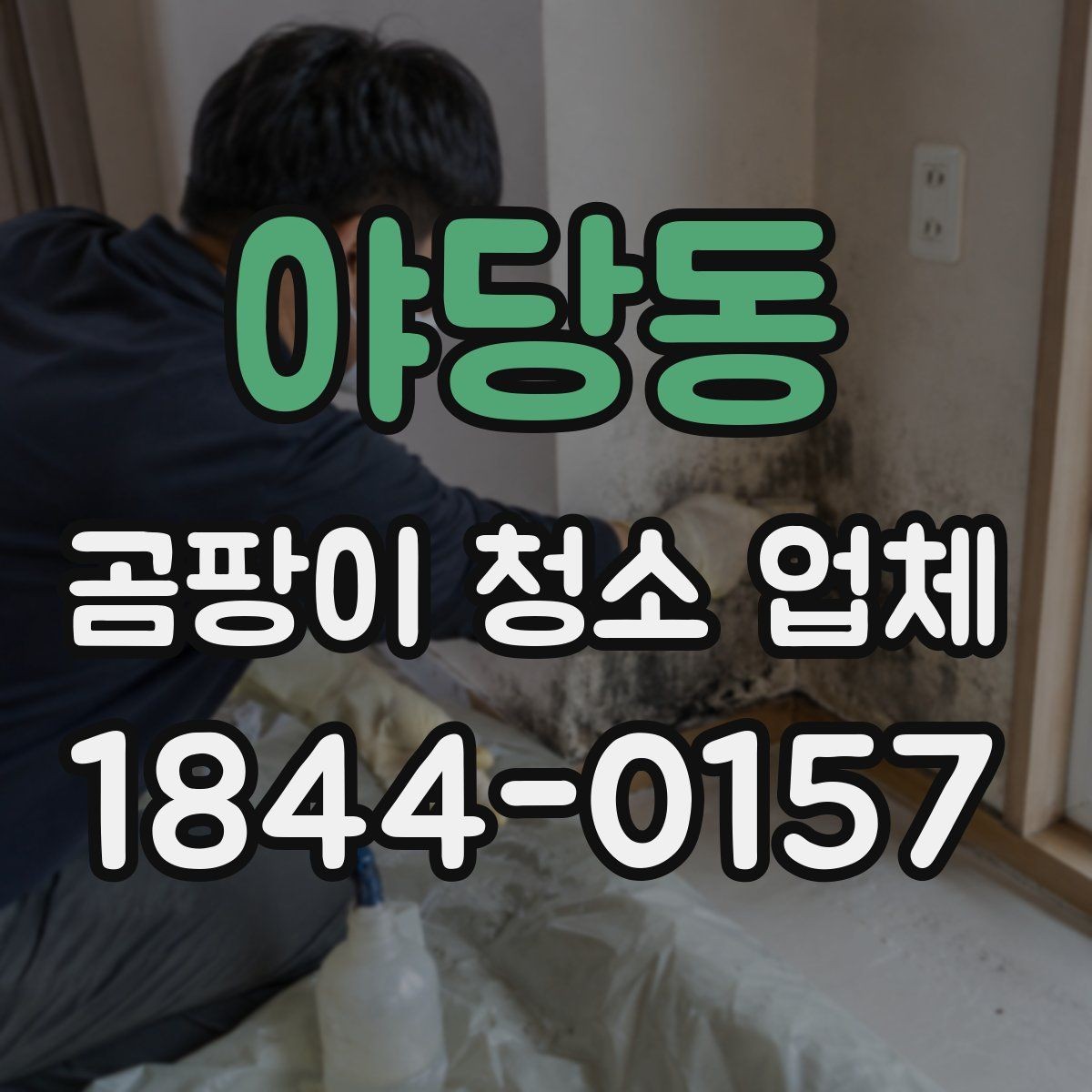 야당동 곰팡이 청소 업체 실내 안전성을 먼저 확인해야 하는 이유