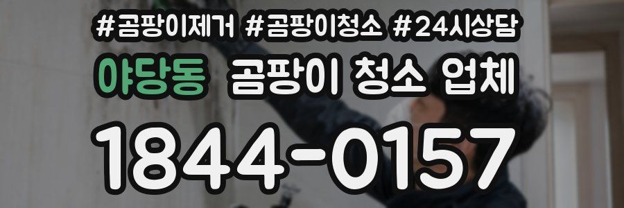 야당동 곰팡이 청소 업체