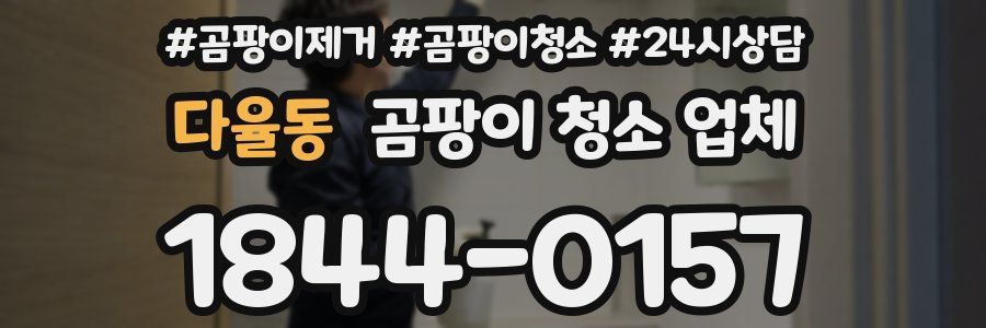 다율동 곰팡이 청소 업체