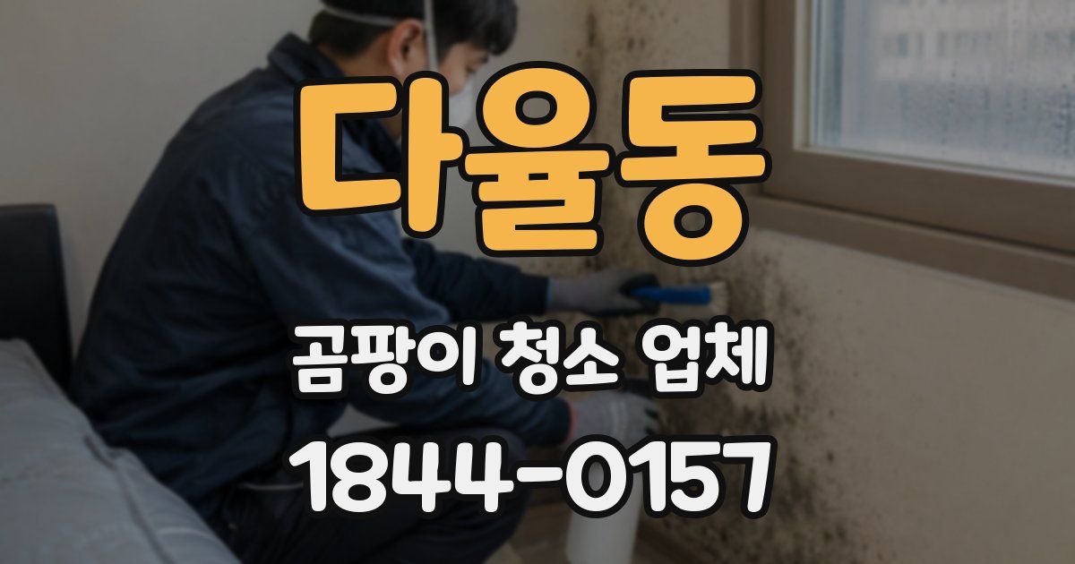 다율동 곰팡이 청소 업체