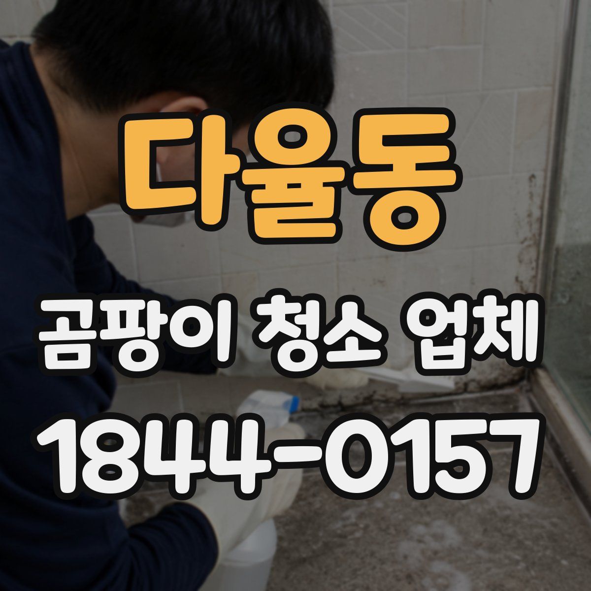 다율동 곰팡이 청소 업체