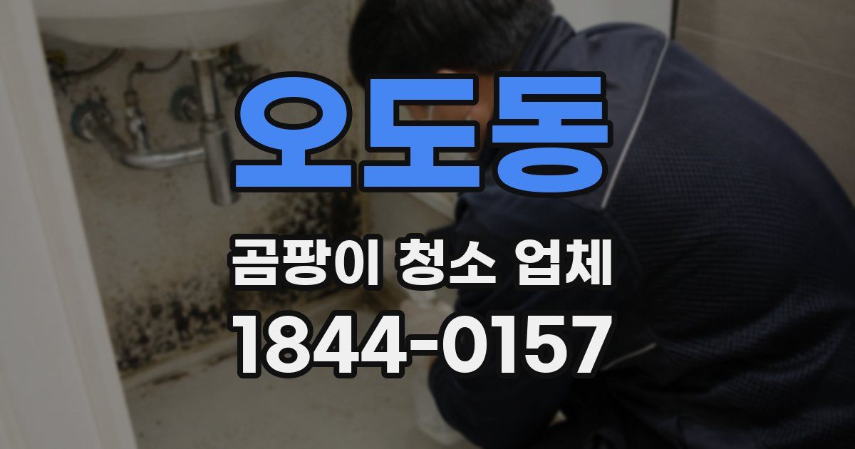 오도동 곰팡이 청소 업체