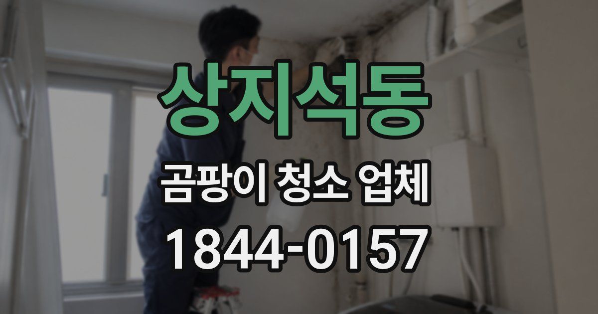 상지석동 곰팡이 청소 업체