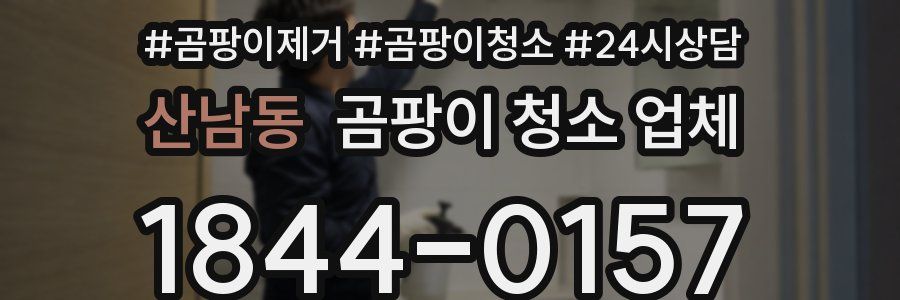 산남동 곰팡이 청소 업체