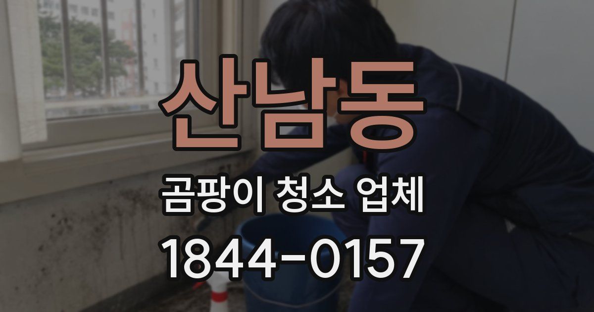 산남동 곰팡이 청소 업체