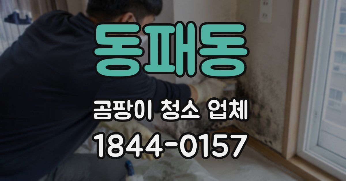 동패동 곰팡이 청소 업체