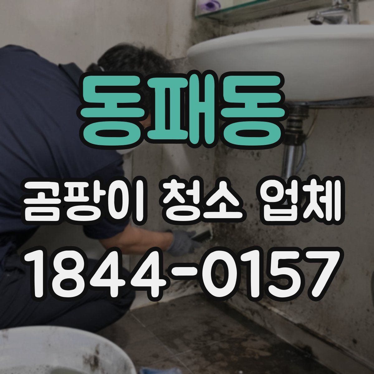 동패동 곰팡이 청소 업체