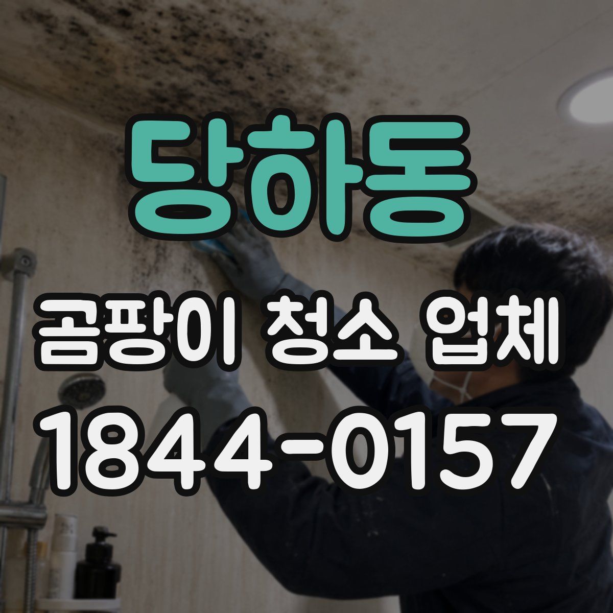 당하동 곰팡이 청소 업체