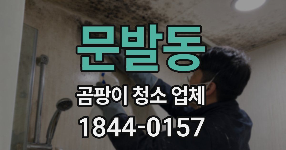 문발동 곰팡이 청소 업체