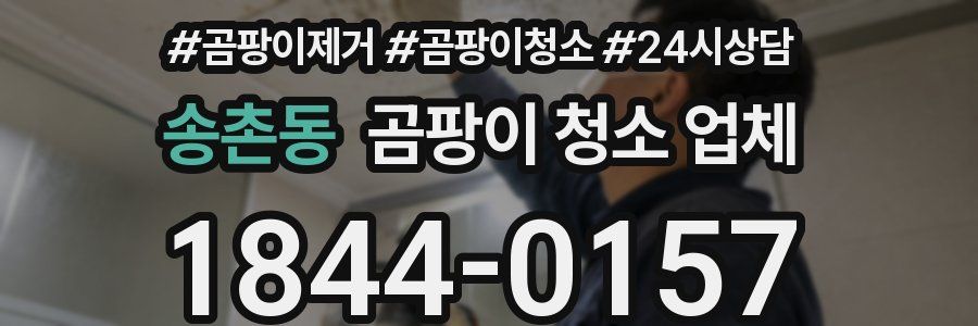 송촌동 곰팡이 청소 업체
