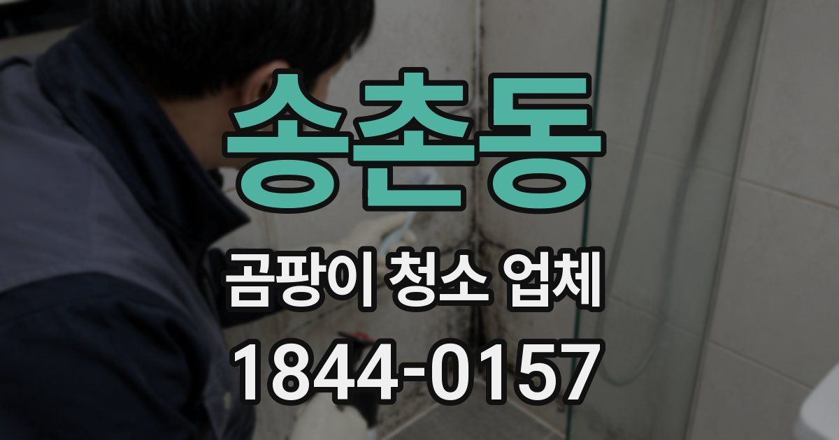 송촌동 곰팡이 청소 업체