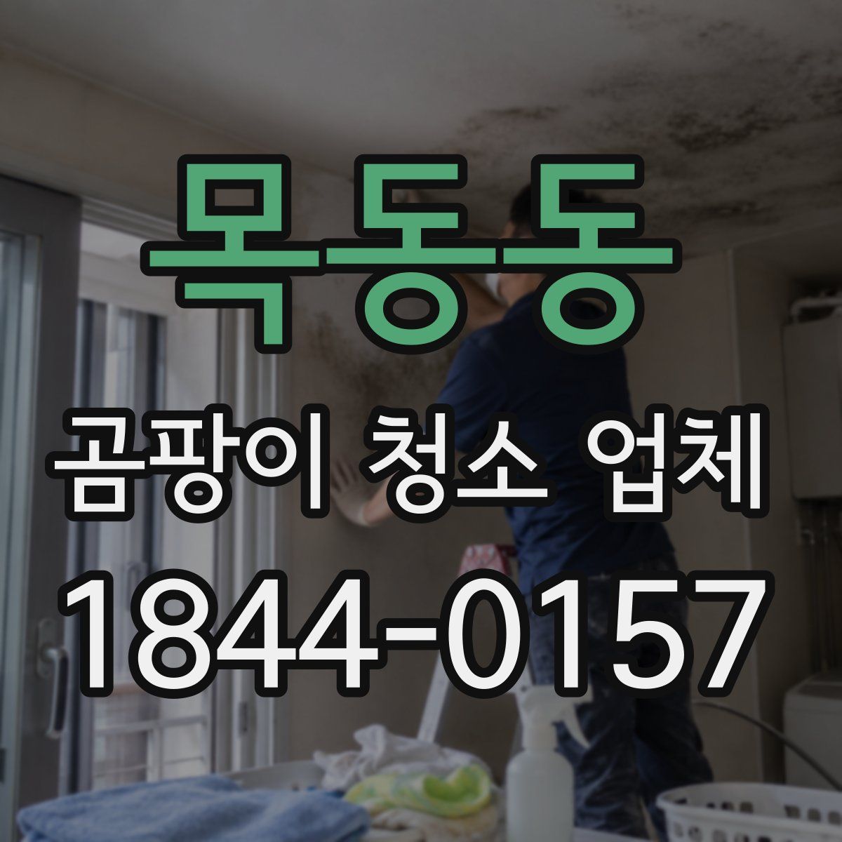 목동동 곰팡이 청소 업체