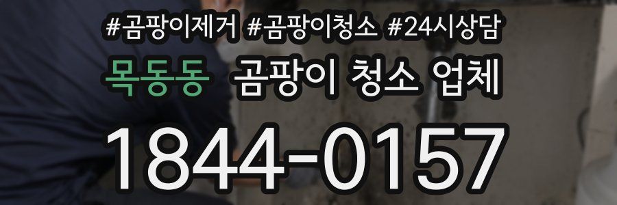 목동동 곰팡이 청소 업체