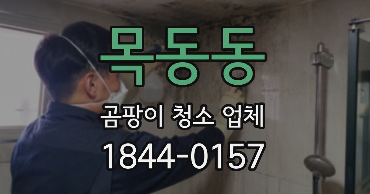목동동 곰팡이 청소 업체