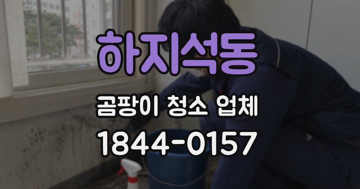 하지석동 곰팡이 청소 업체
