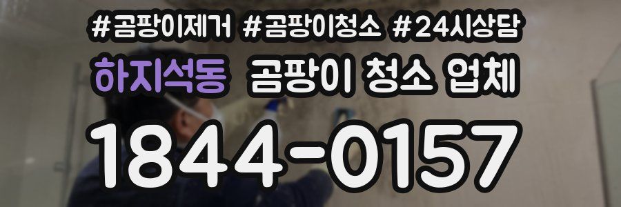 하지석동 곰팡이 청소 업체