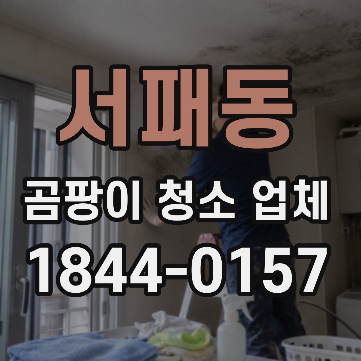 서패동 곰팡이 청소 업체