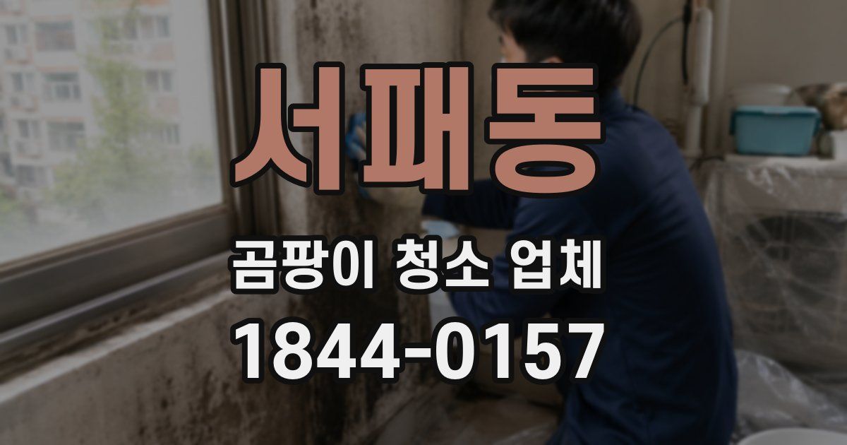 서패동 곰팡이 청소 업체