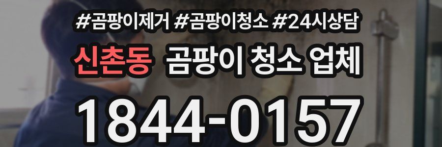 신촌동 곰팡이 청소 업체