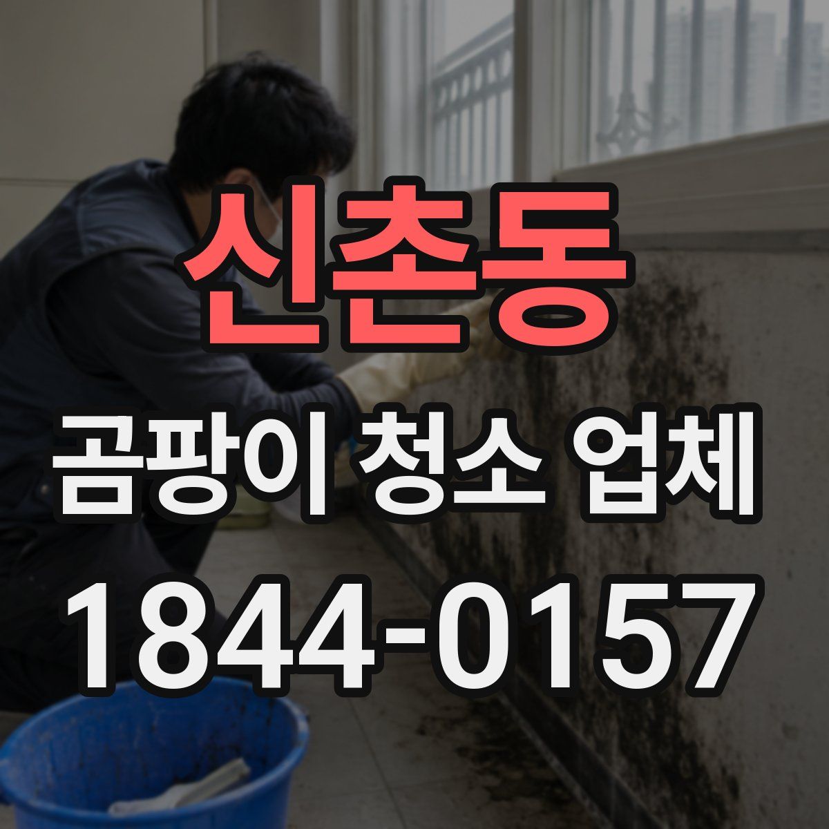 신촌동 곰팡이 청소 업체