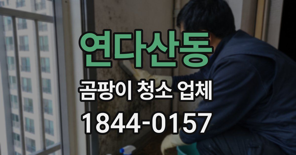 연다산동 곰팡이 청소 업체