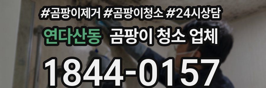 연다산동 곰팡이 청소 업체