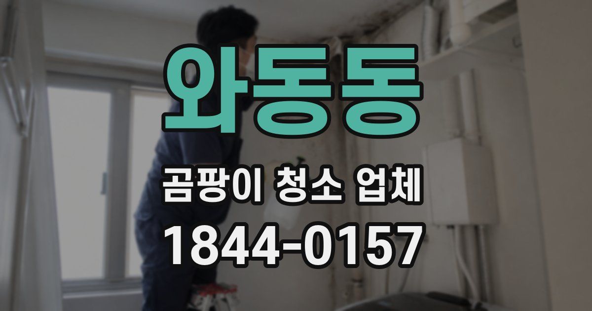 와동동 곰팡이 청소 업체