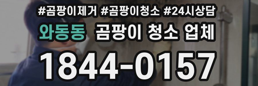 와동동 곰팡이 청소 업체