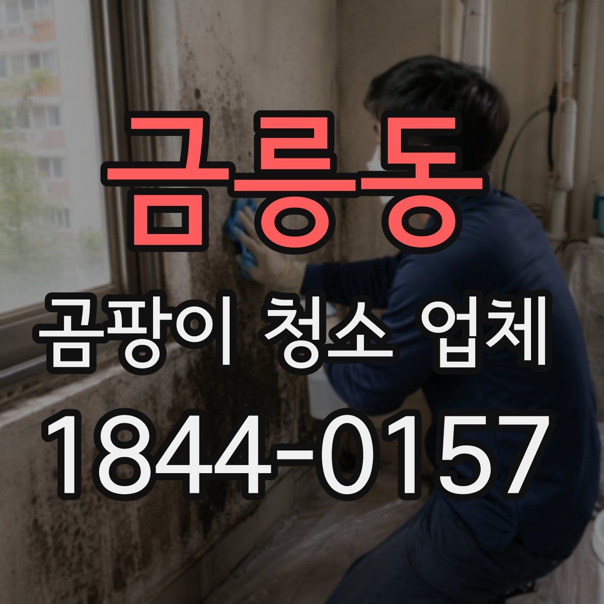 금릉동 곰팡이 청소 업체
