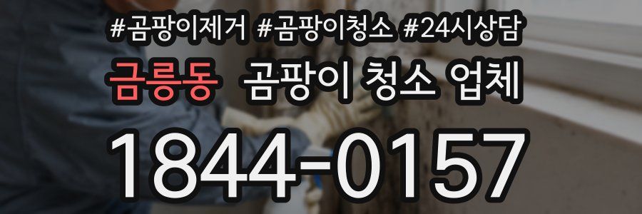 금릉동 곰팡이 청소 업체