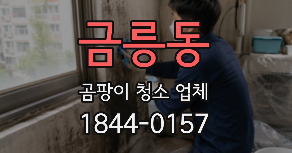 금릉동 곰팡이 청소 업체
