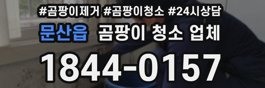 문산읍 곰팡이 청소 업체