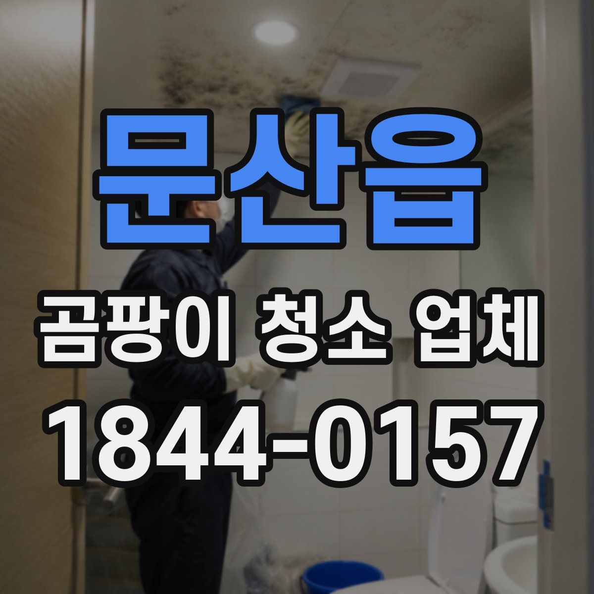 문산읍 곰팡이 청소 업체